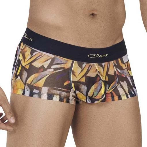 Boxer Clever Tonos 0668 5 Boxer Clever Tonos 0668 – Image 3