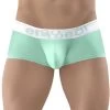 Shorty ErgoWear MAX SE EW1313 -Boutique De Lingerie boxer ergo EW1313 vert m